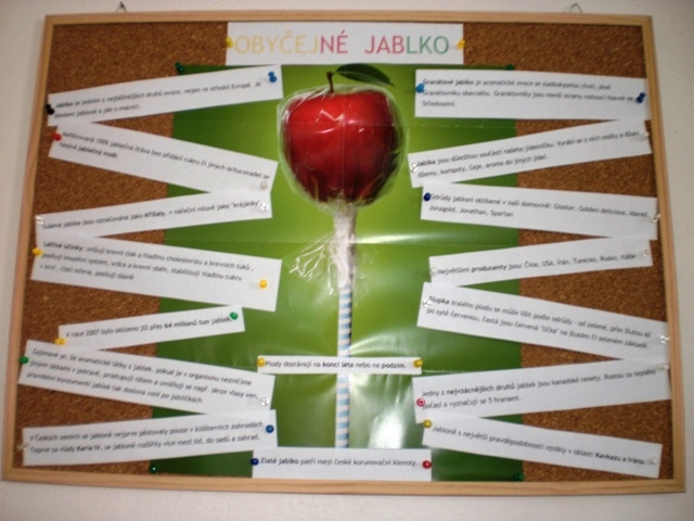 Nástěnka – Obyčejné jablko