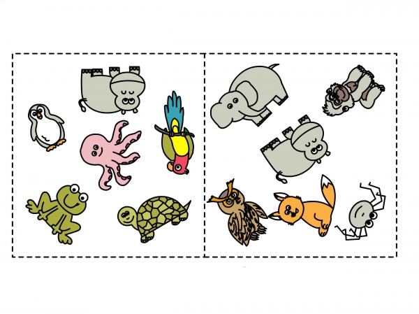 ZOO – Dobble